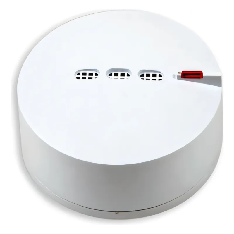 ნახშირბად მონოქსიდის დეტექტორი, Detnov, CO Detector DMD-500