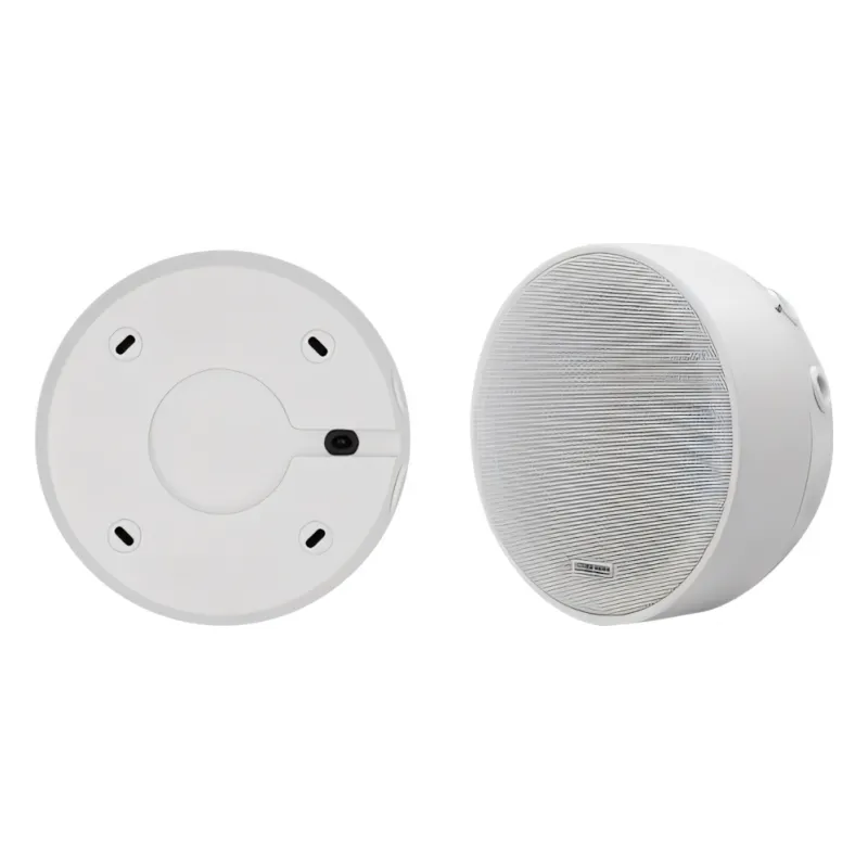 ხმამაღლამოლაპარაკე DSP5311 6.5Inch Surface Mount Ceiling Speaker