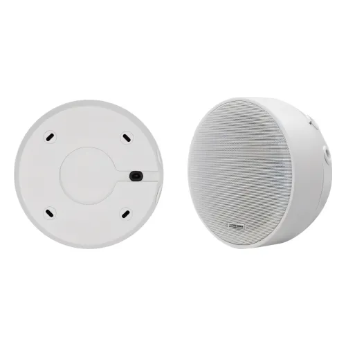 ხმამაღლამოლაპარაკე DSP5311 6.5Inch Surface Mount Ceiling Speaker