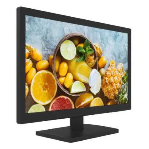 მონიტორი DS-D5019QE-B, 18.5 Inch