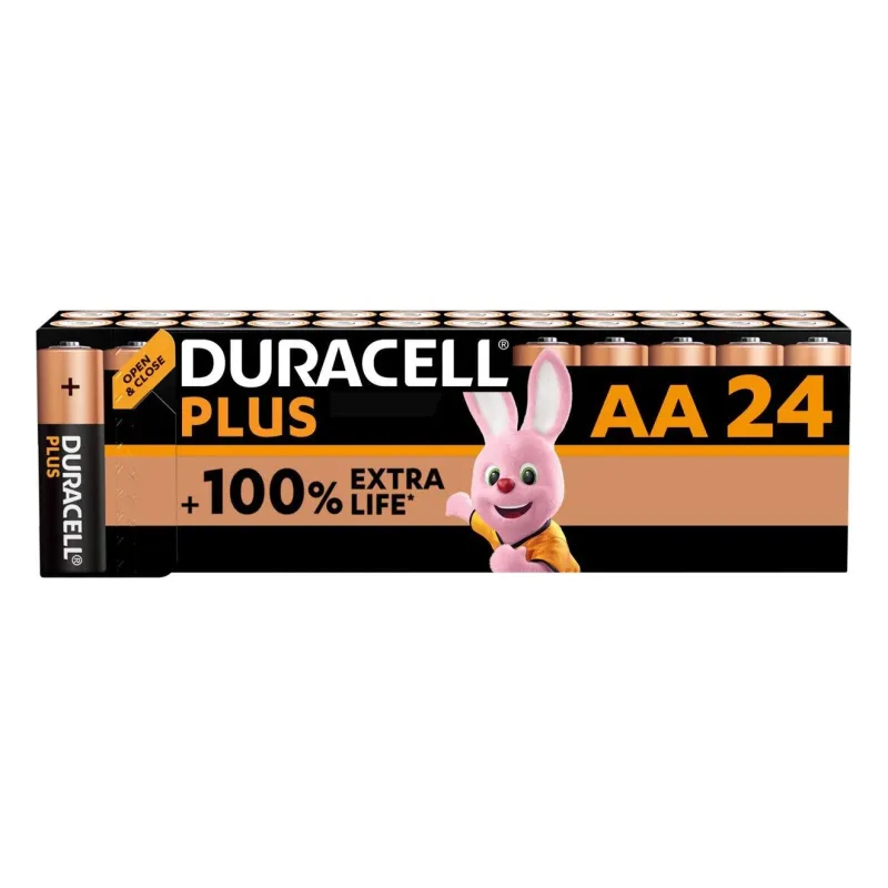 LR6/AA Duracell Basic Blister 24, 24xAA, 1,5V/B 1 piece from a pack 160071
