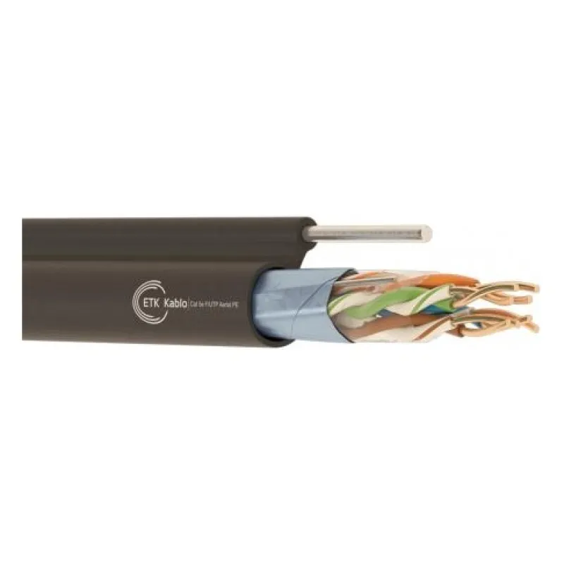 ქსელის კაბელი - Cat5e FTP 24AWG 100% სპილენძი გარე გამოყენების ლითონის ბაგირით 305 მეტრი