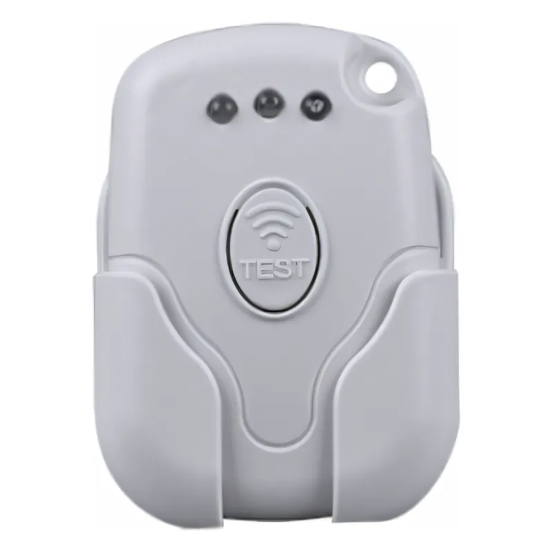 261-001 Alarm remote control, vibration alert