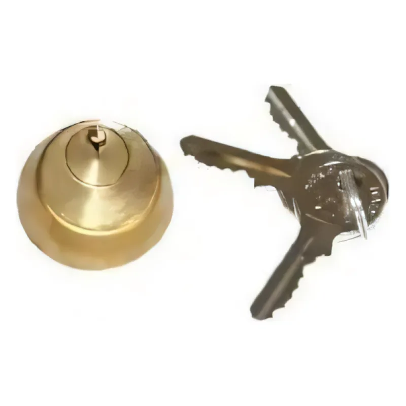 INTERNAL CYLINDER FOR EL.LOCK N 01 (712651001)